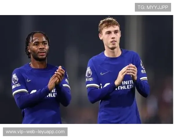 切尔西帕尔默突破后传中造成进球