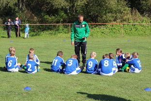 乐鱼电竞在线平台-国家队战术决策效率如何提升，国家队战术决策效率如何提升的